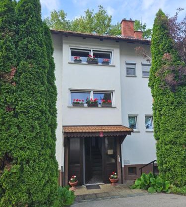 Apartma Cipresa