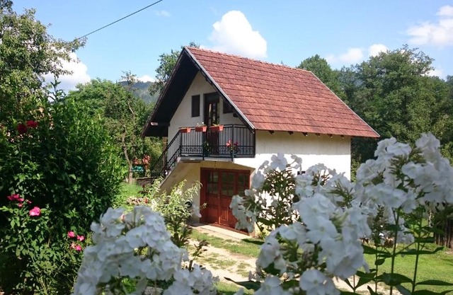 Apartman Ana