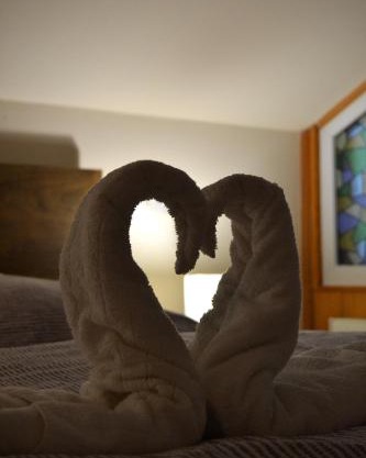 Apartman Aya