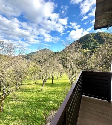 Apartman Bajt