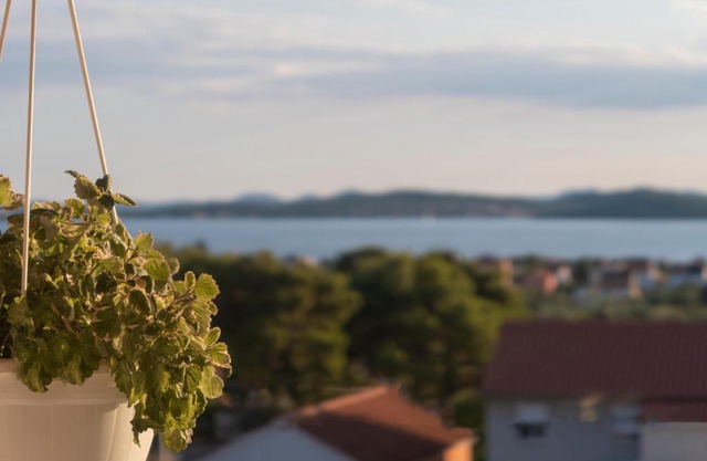 Apartman Dado