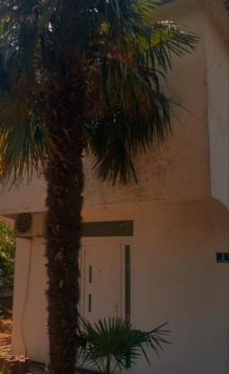 Apartman Danica