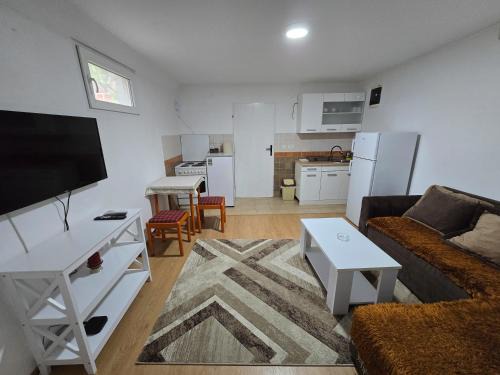 Apartman Knez 1