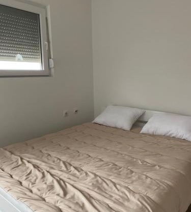 Apartman Milena Temerin