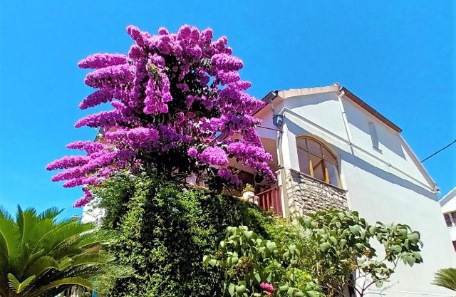 Apartman Nada