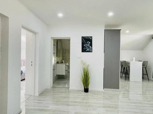 Apartman Pavenka