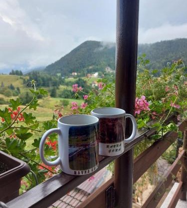 Apartman Skender 3* Ravna Gora
