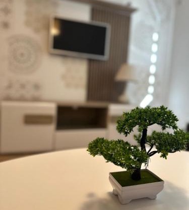 Apartman Sueno Foca