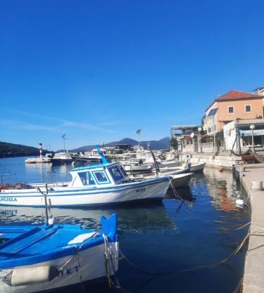 Apartman u zelenilu Bigove
