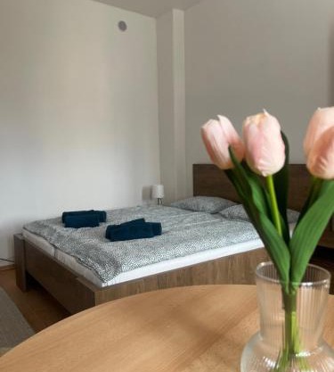 Apartman VAJB