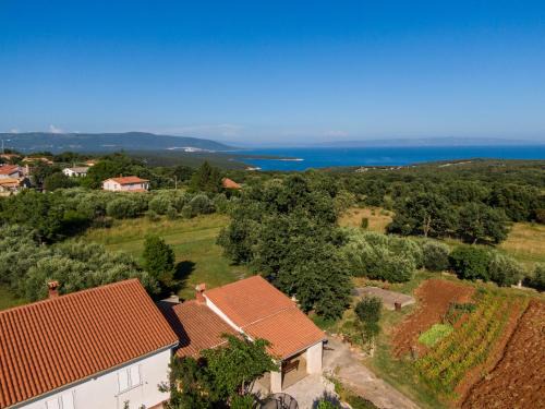 Apartman Viridis