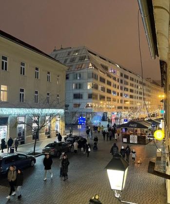 Apartman Vlaška