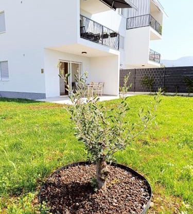 Apartman Zelena Oaza