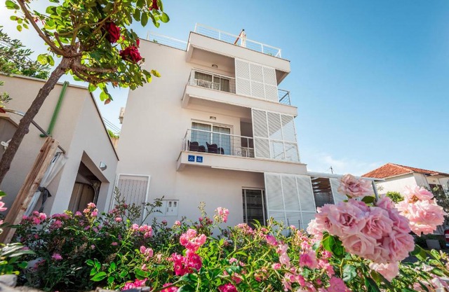 Apartmani Gelo