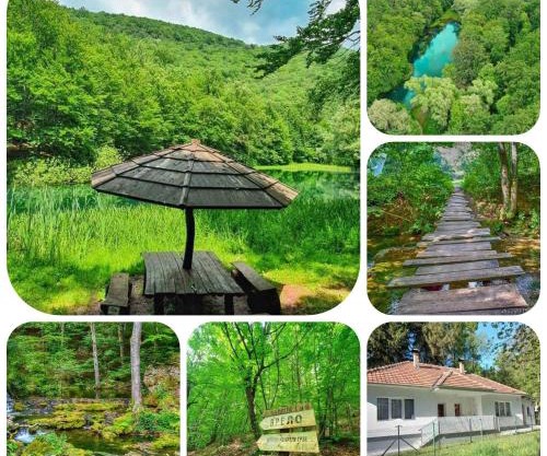 Apartmani Grza