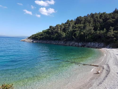 Apartmani Mariela