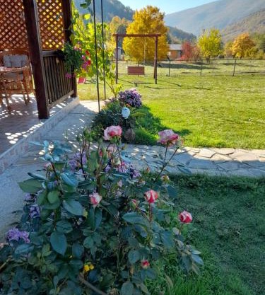 Apartmani Petar