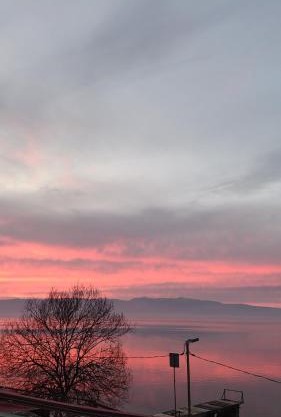 Apartmani Ribar