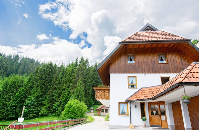 Apartamento 'Ferienwohnung Birgit' con vistas a la montaña, terraza privada y Wi-Fi