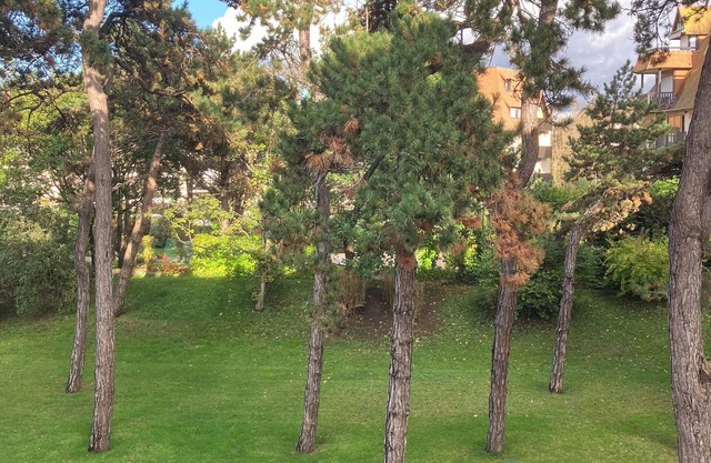 Apartment 200m from the beach