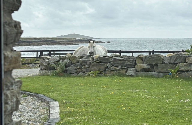 Apartment 471 - Clifden - sleeps 4 guests in 2 bedrooms