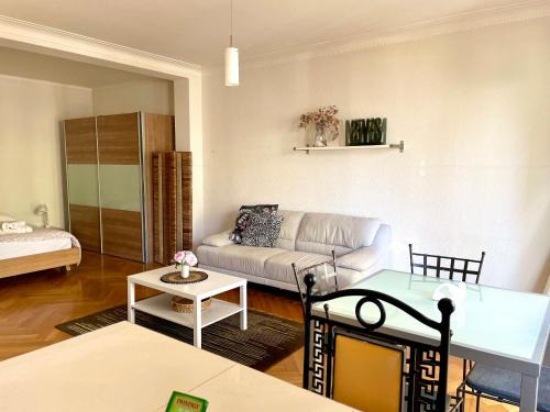 Apartment 9 minutes from Lausanne Train statio