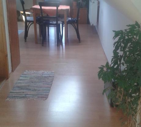 Apartment Adare