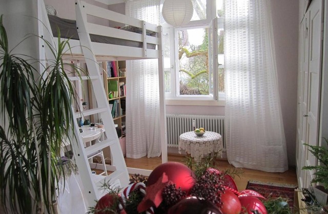 Apartamento Am Birnbaum, 25 m², 1 salón/dormitorio, máx. 4 personas