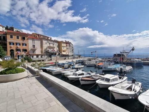 Apartment Antea -Opatija riviera