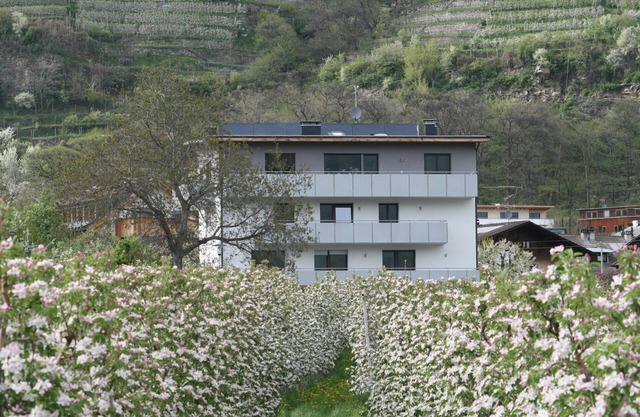 Apartamento "Apple Blossom" con gran balcón