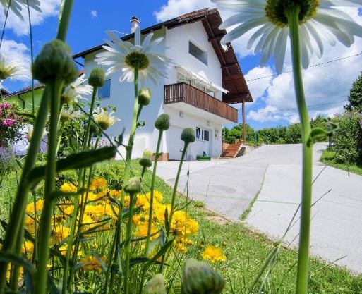Apartment Bastaja