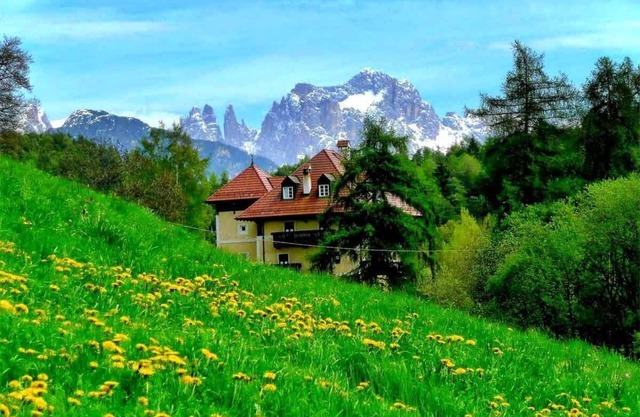 Apartment Berta including Südtirol Mobil Card free of charge | Waldegg
