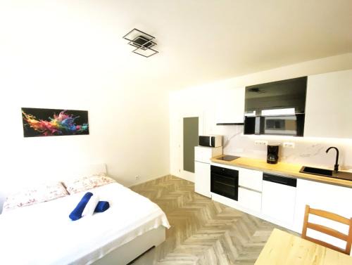 Apartment Brno Center