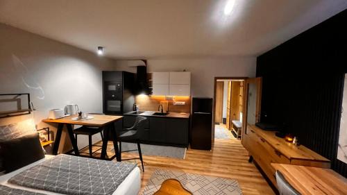 Apartment Budweis 1kk České Budějovice