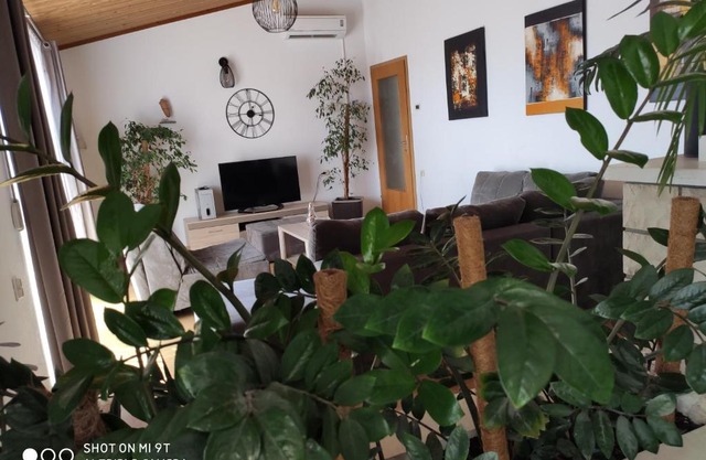 Apartment Burich
