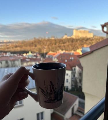 Apartment Cimburkova