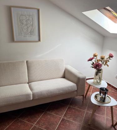 Apartment Damjan