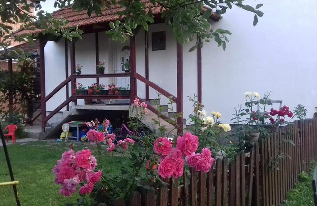 Apartment Dil