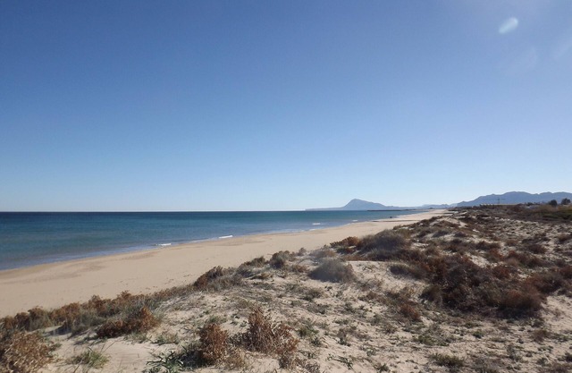 Apartment Duna 1 for 4 people directly on the sandy beach