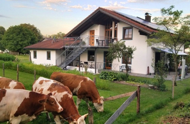 Apartamento 'Exklusiv Hinterreiter' con vistas a la montaña, Wi-Fi y aire acondicionado