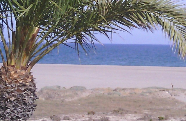 Apartamento junto al mar