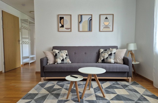 Apartment for 3, near Zurich and Lucerne, with parking space