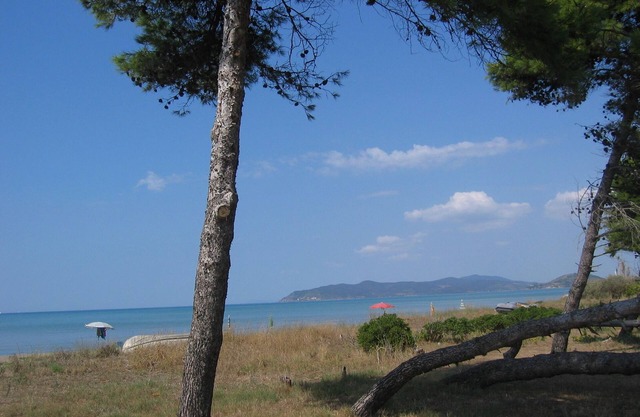 Apartamento para vacaciones especiales junto al mar.