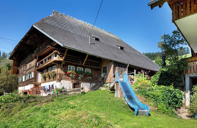 Apartment 'Hinterbauernhof Eschbach' with Mountain View, Private Terrace and Wi-Fi