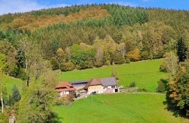 Apartamento 'Hof' con vistas a la montaña, terraza privada y Wi-Fi