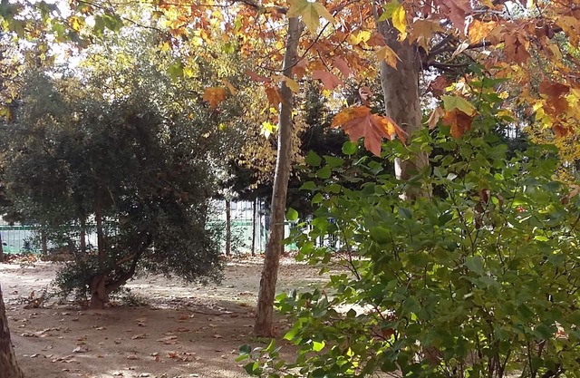APARTAMENTO-IFEMA-AIRPORT-METROPOLITANO-TRANQUILIDAD