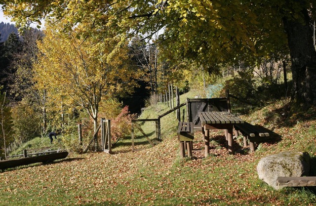 Apartment in a secluded farm in the High Vosges
