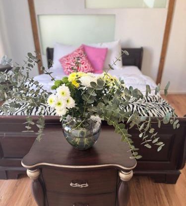 Apartment in city centre