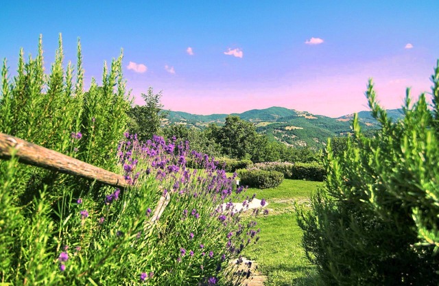 Apartamento en Granja en las amapolas cerca de Asís