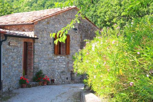 Apartment in Montieri - Toskana 38264